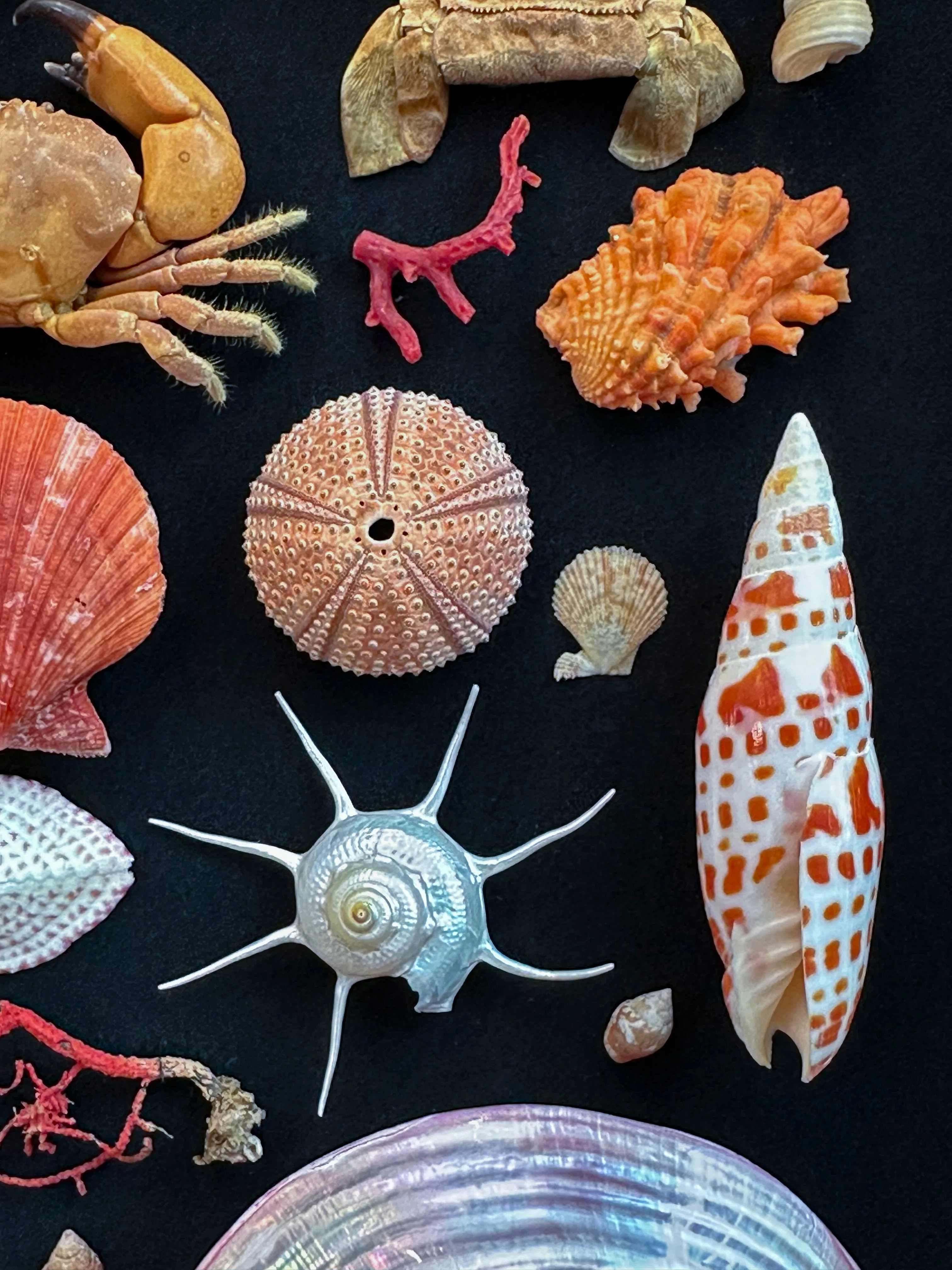 L'Art de Cultiver la Nature